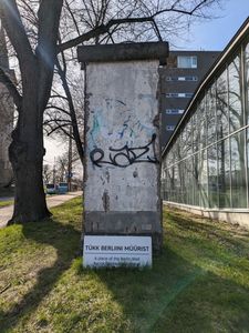 muro di berlino